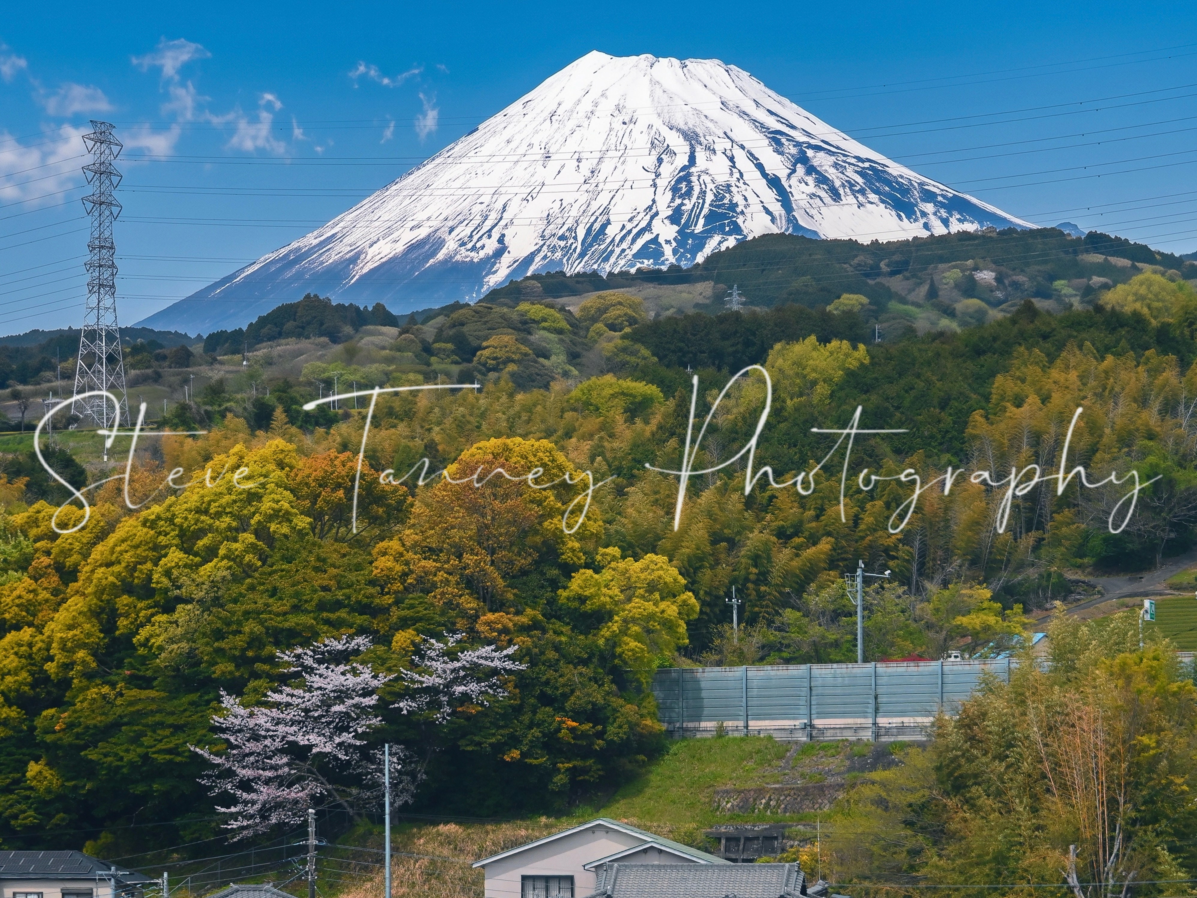 Mount Fuji from Shinkansen spring photo print | Japan wall art