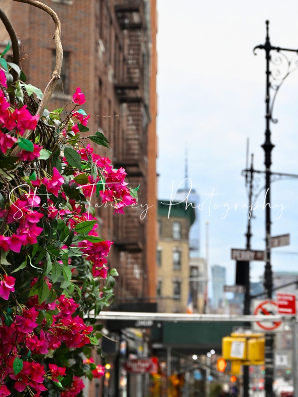 West Village Views